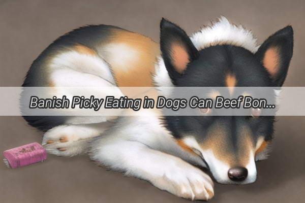 Banish Picky Eating in Dogs Can Beef Bone Powder Be the Secret Weapon